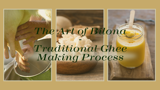 The Art of Bilona - Traditional Ghee Making Process