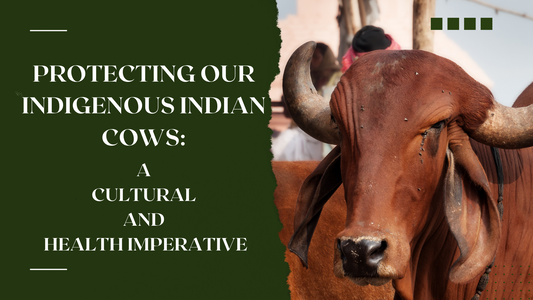 Protecting Our Indigenous Indian Cows: A Cultural and Health Imperative